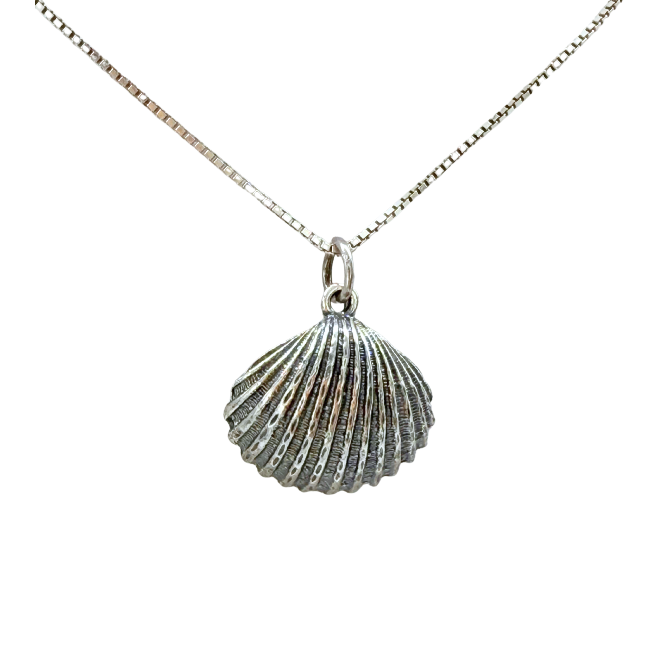 The Sterling Silver Freshwater Pearl in Shell Necklace by Mediterranean Artists Co. Sterling Silver features a scallop shell pendant with a pearl on a square-linked chain—perfect for gifting during our blowout sale.