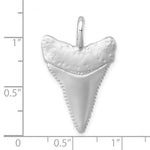 The Presco/Quality Gold Sterling Silver Brushed Great White Shark Tooth Pendant features a textured finish and serrated edges, shown on a white grid with inch markers to highlight its size—just over 1 tall and about 0.75 wide.