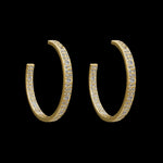 The Be-Je Designs Gold Pave Clear CZ Hoop Earrings feature sparkling cubic zirconia in 14kt gold, shown against a solid black background.