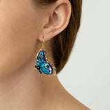 A close-up of a person wearing Holly Yashi’s Mariposa Butterfly Wing Blue Radiance Earrings, shaped like blue butterflies with gold accents. Their hair is tucked behind their ear, and they are dressed in a light knit top.